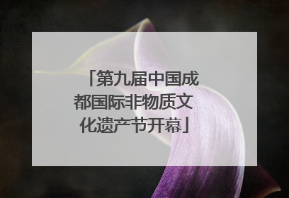 第九届中国成都国际非物质文化遗产节开幕